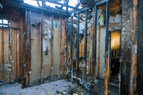 Professional Fire Damage Removal technician working in Point of Rocks, MD